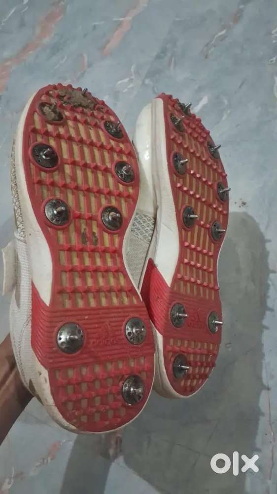 adi power cricket spikes shoes