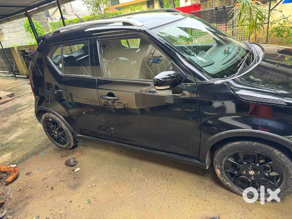 Maruti Suzuki Ignis 2023 Petrol 54000 Km Driven