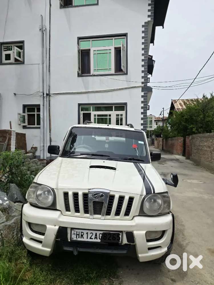 Scorpio Mhawk Talking Kashmiri Owner