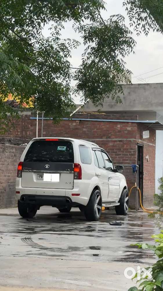 Safari Storme 20 Inch Alloy