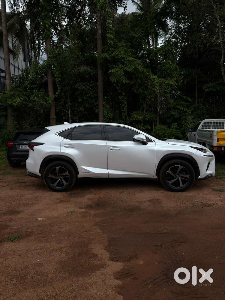 Lexus Nx 300h 2018 Car