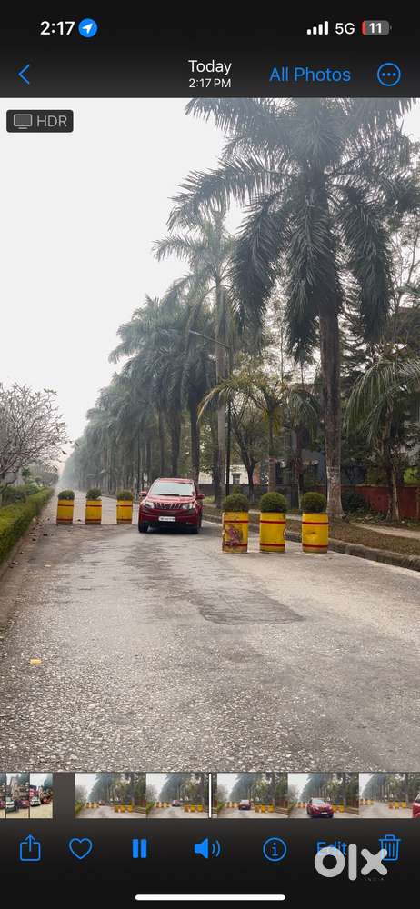 Car At Mint Condition