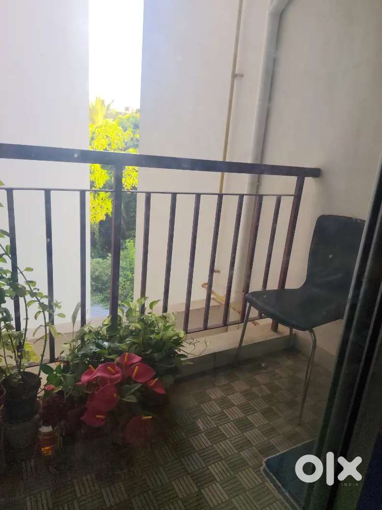 Flat for rent