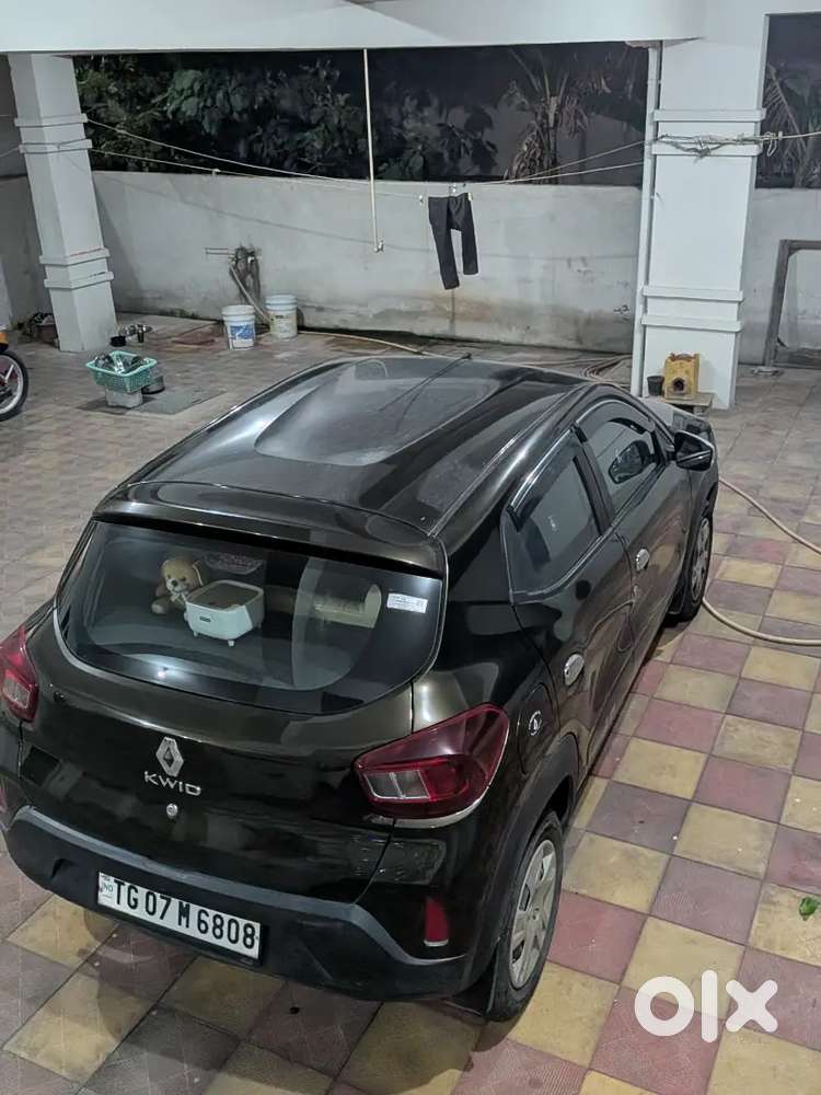Renault Kwid 2024 Petrol 6500 Km Driven.