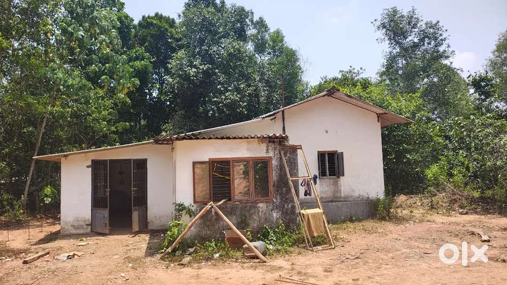 Independent 1bhk house for rent near to VC college Neharu nagar