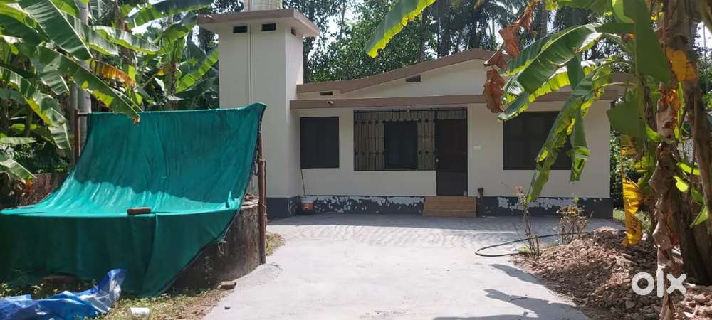 A independent house with compund wall for rent near payyanur