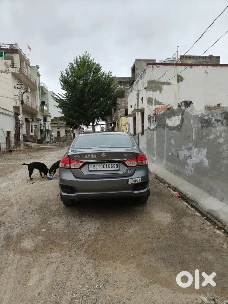 Suzuki Ciaz Diesel Zdi+ Shvs Top Model