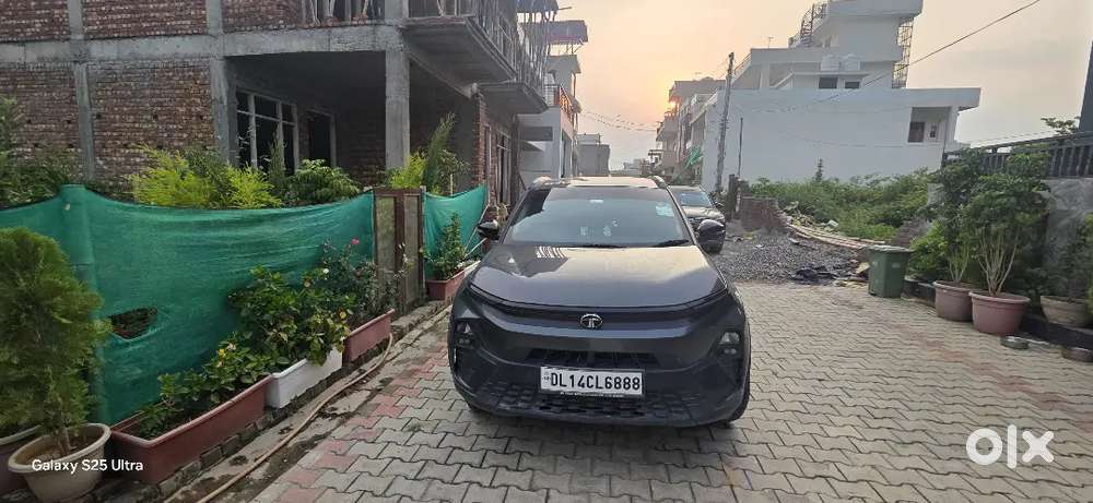 Tata Nexon 2025 Petrol Well Maintained