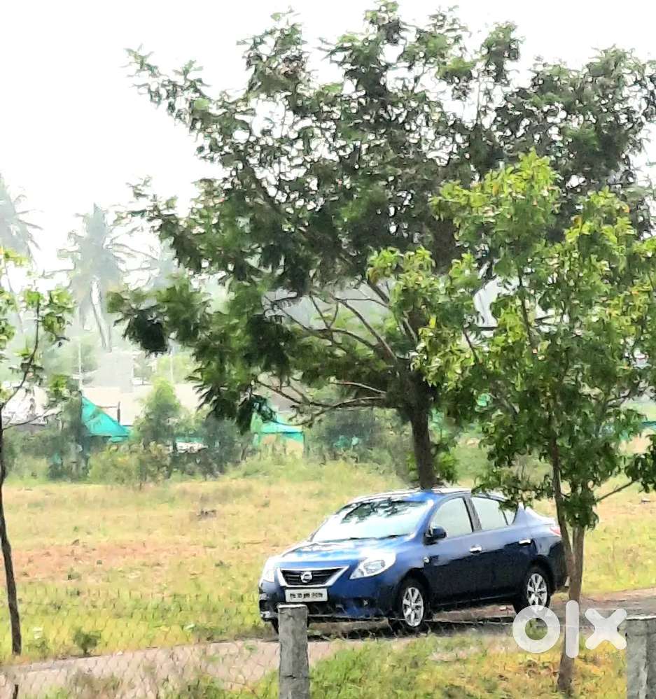 Nissan Sunny Xv Premium Diesel In Mint Condition