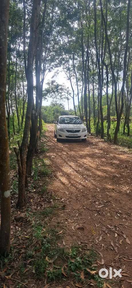 Toyota Corolla Altis 2010