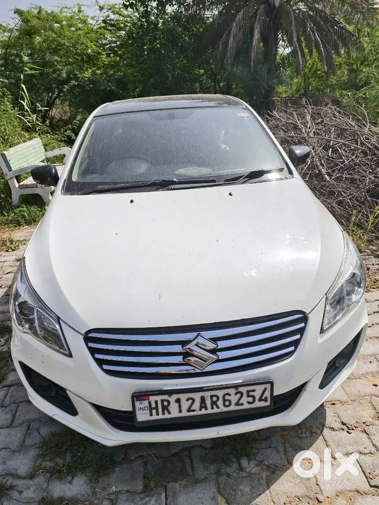 Maruti Suzuki Ciaz 2017 Car