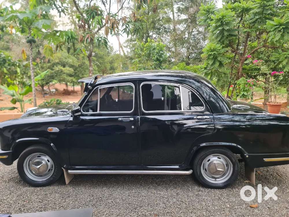 2012 Last Ambassador Registration