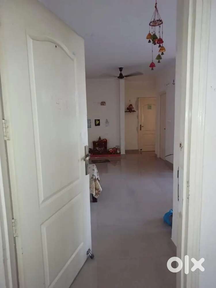 Available for rent 2 bhk in terra elegance