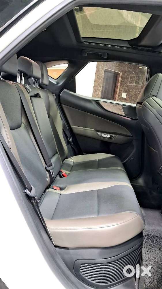 Lexus Nx 350h Overtrail, 2024, Petrol