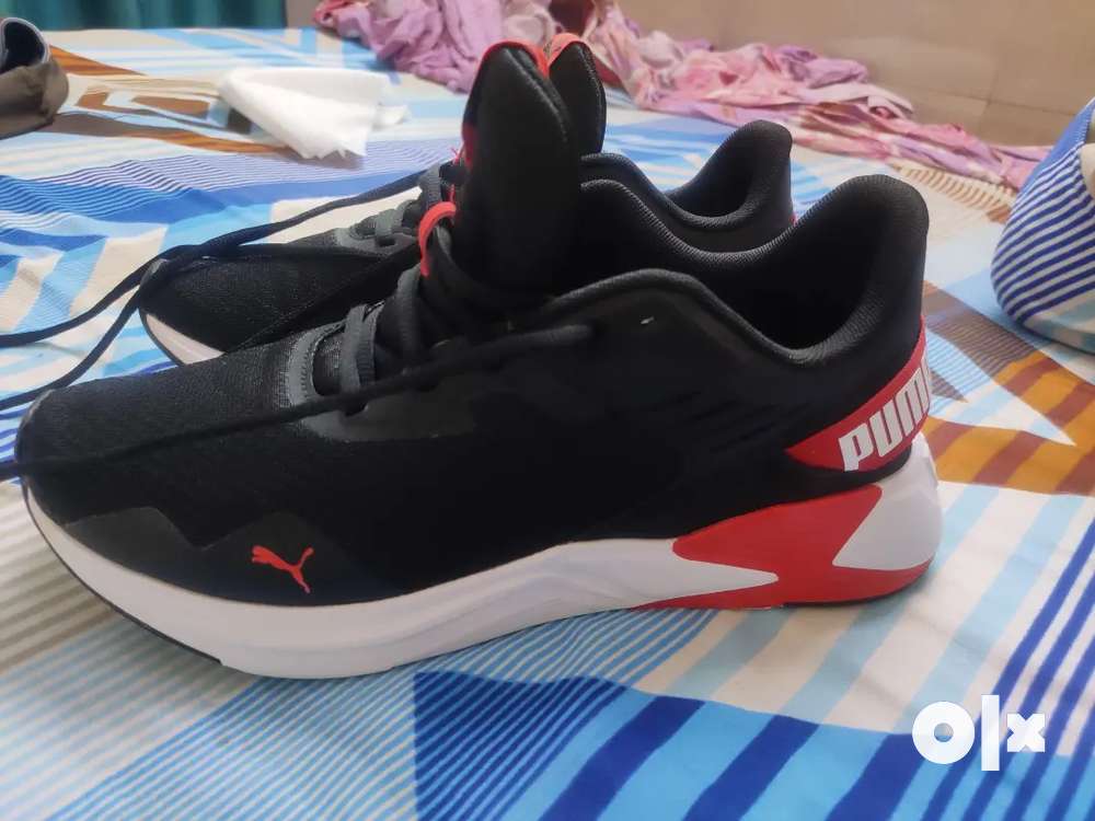 Olx store zapatos puma