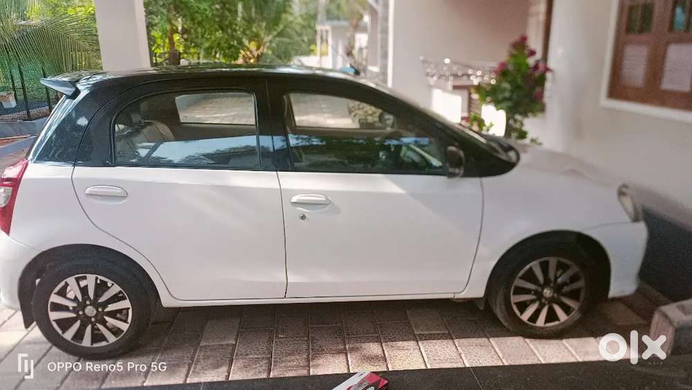 Well Maintaint Neat And Quality