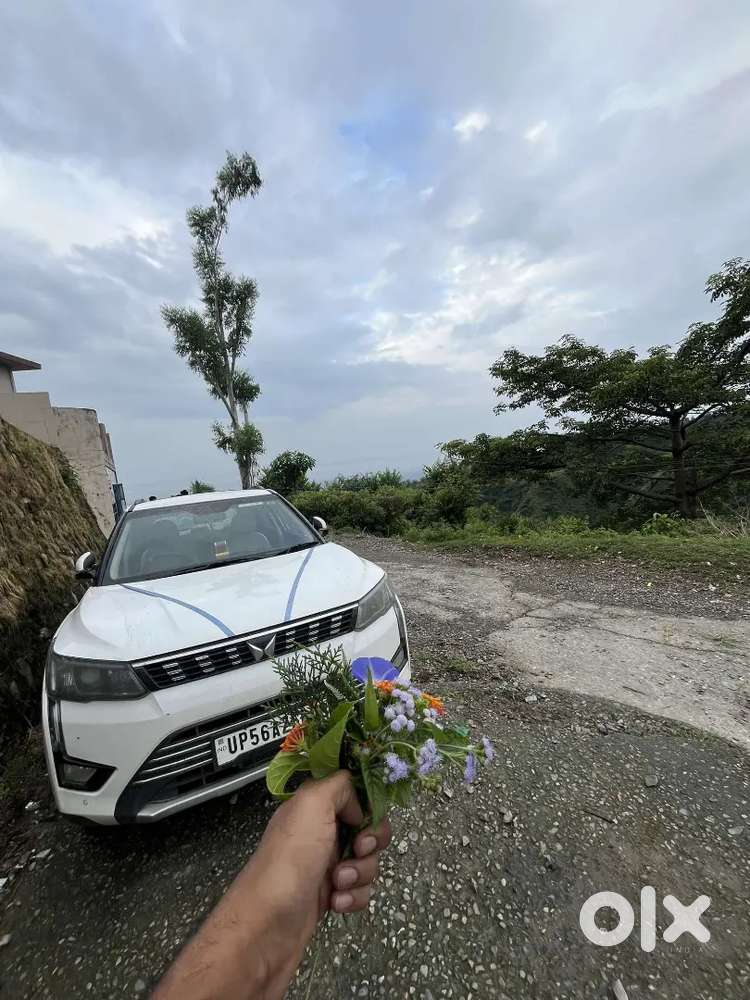 Mahindra Xuv300 2024 Petrol Well Maintained