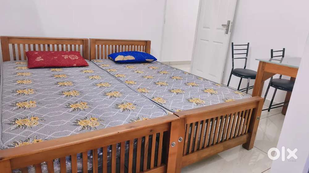 1BHK in Kakkanad