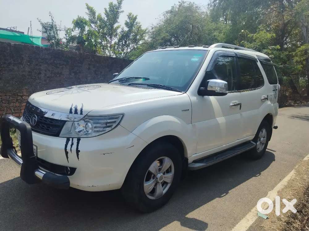 Safari Storme Top Model