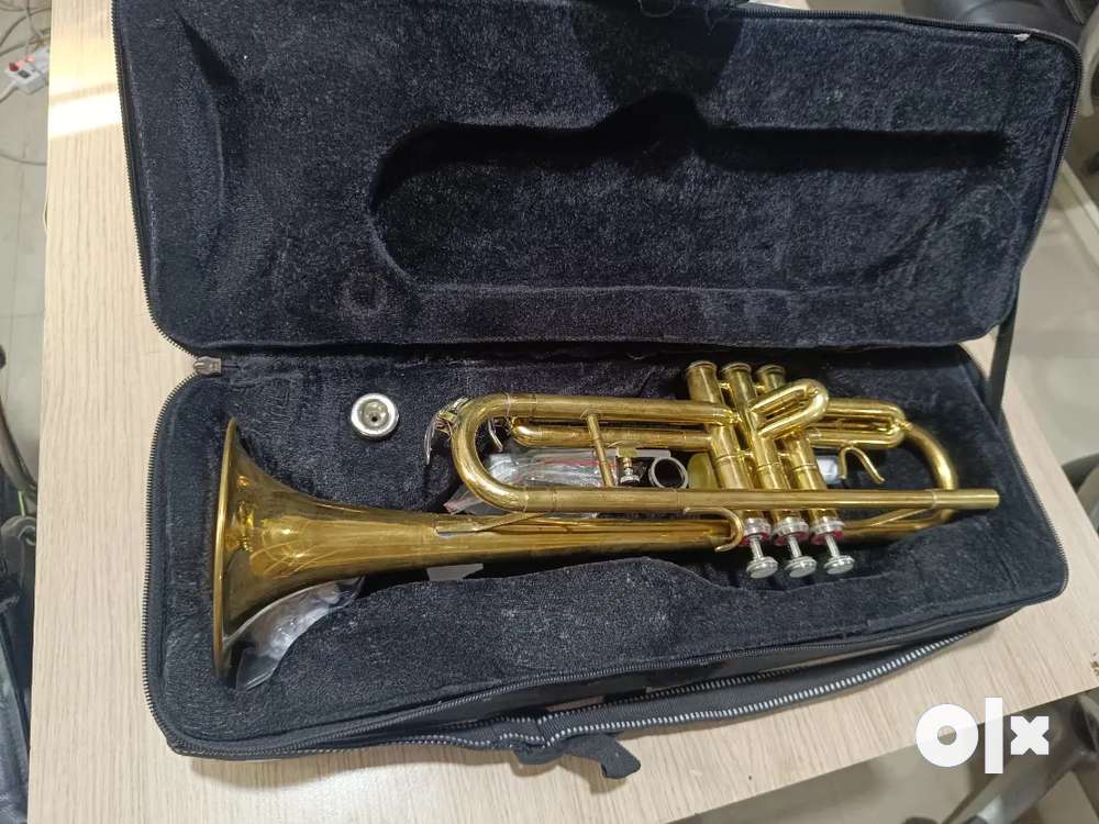 Trumpet price olx sales