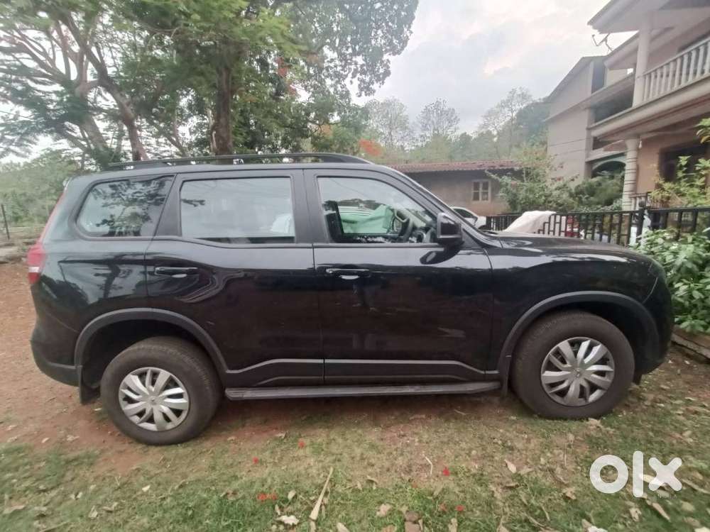Napolean Black New Scorpio N