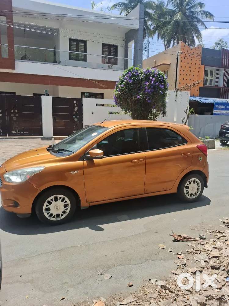 Cbe Reg  1 Owner  Company Service Record  Top Ent