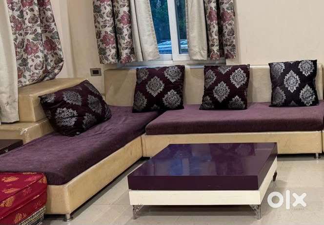 Drawing hall sofa