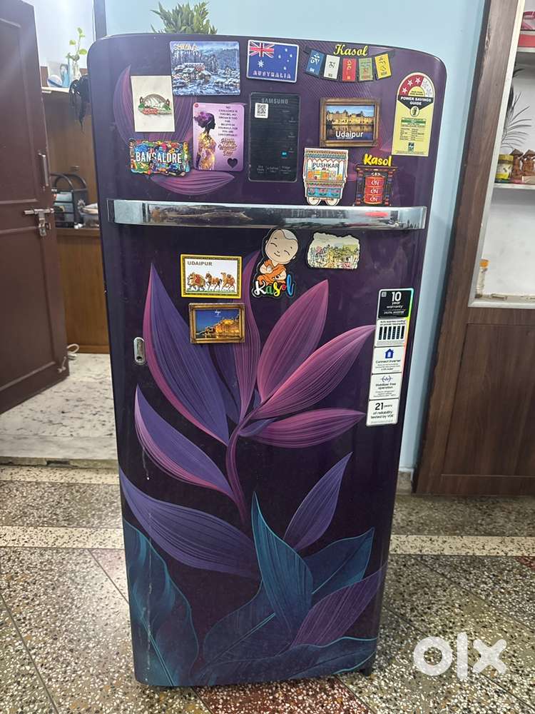 Samsung fridge