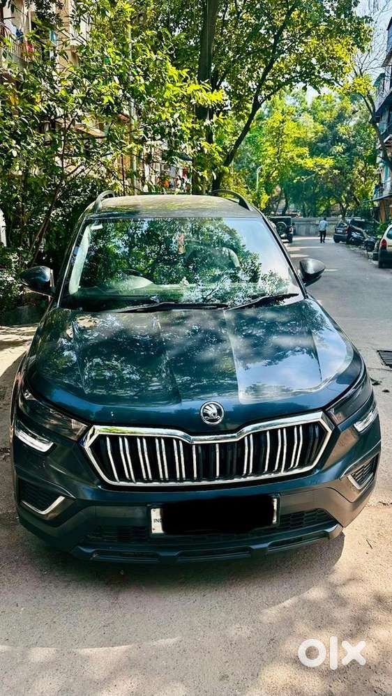 Skoda Kushaq 2022 Petrol Well Maintained