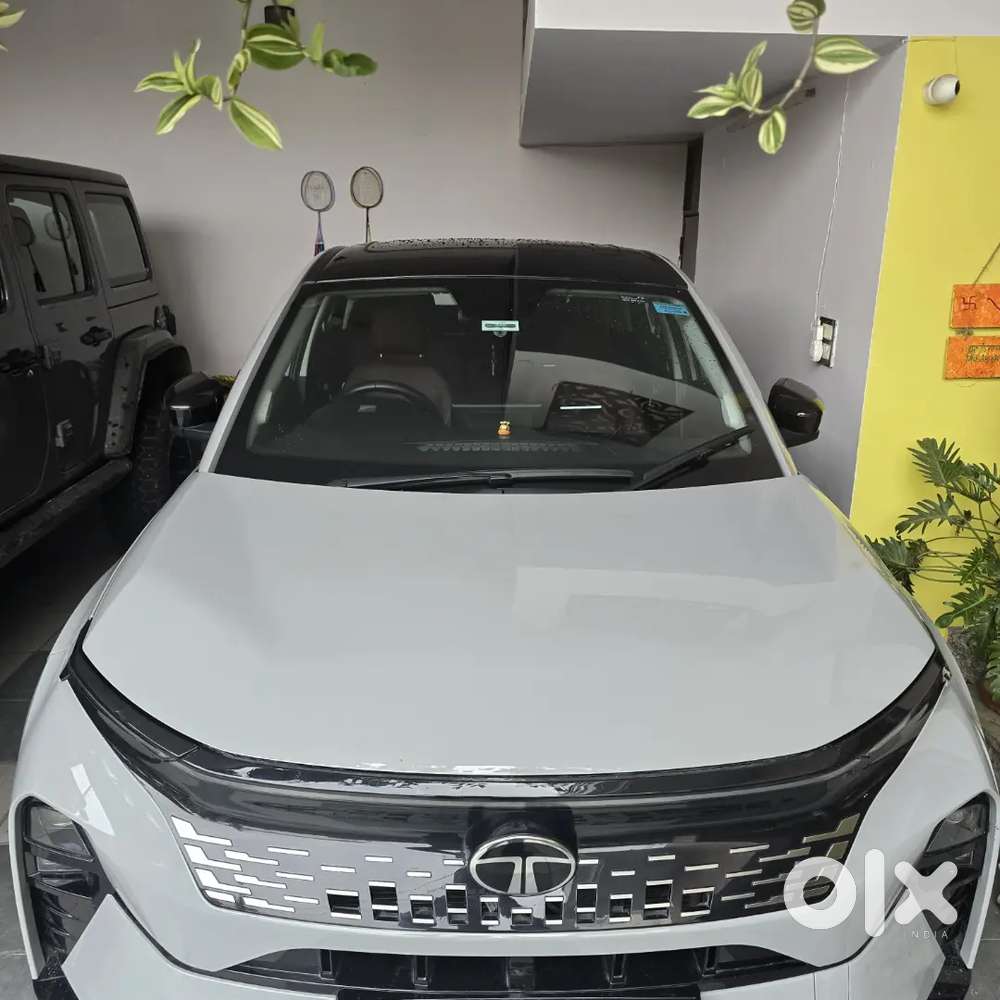 Tata Curvv 2025 Petrol Excellent Condition