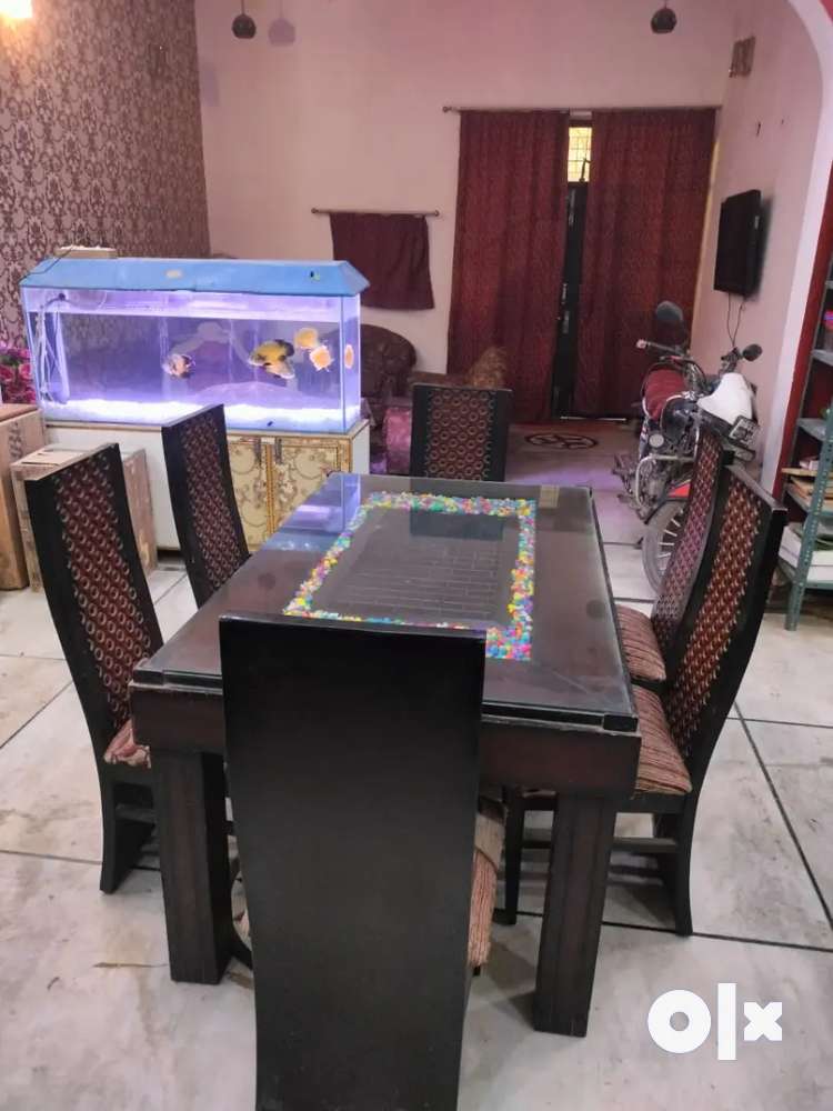 Olx delhi dining table six online seater