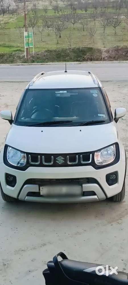 Maruti Suzuki Ignis 2023 Well Maintained