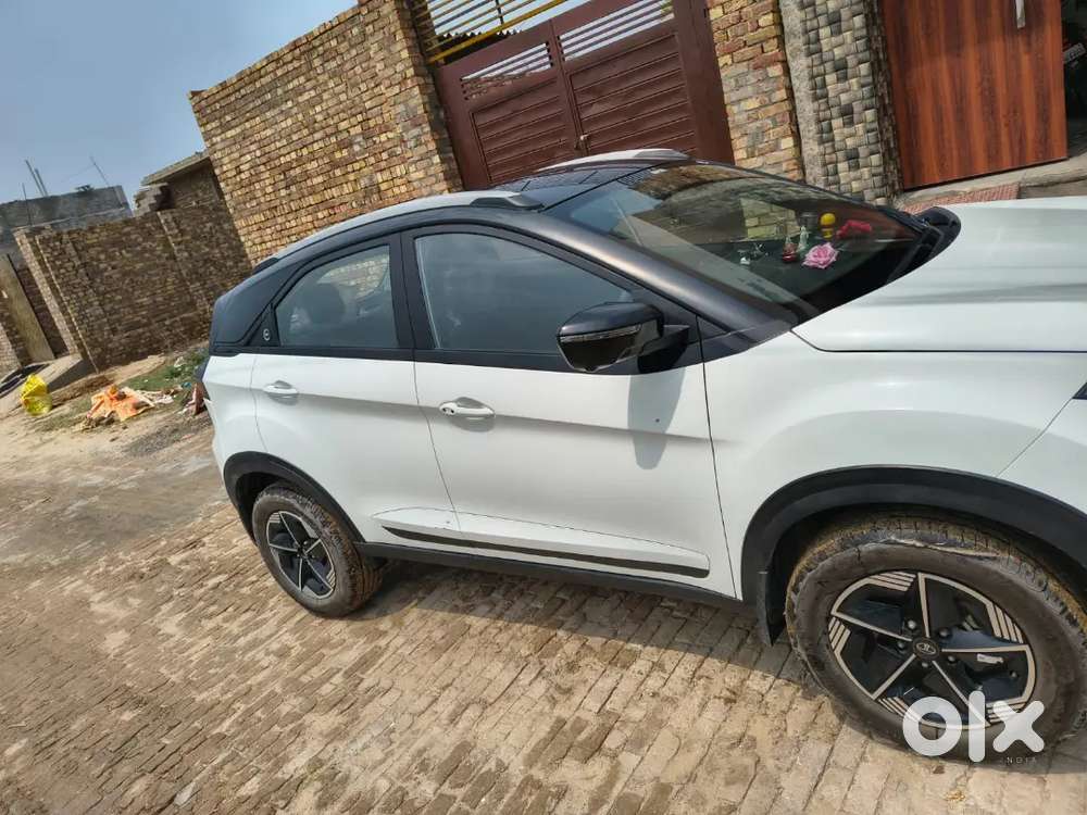 Tata Nexon 2024 Petrol Well Maintained