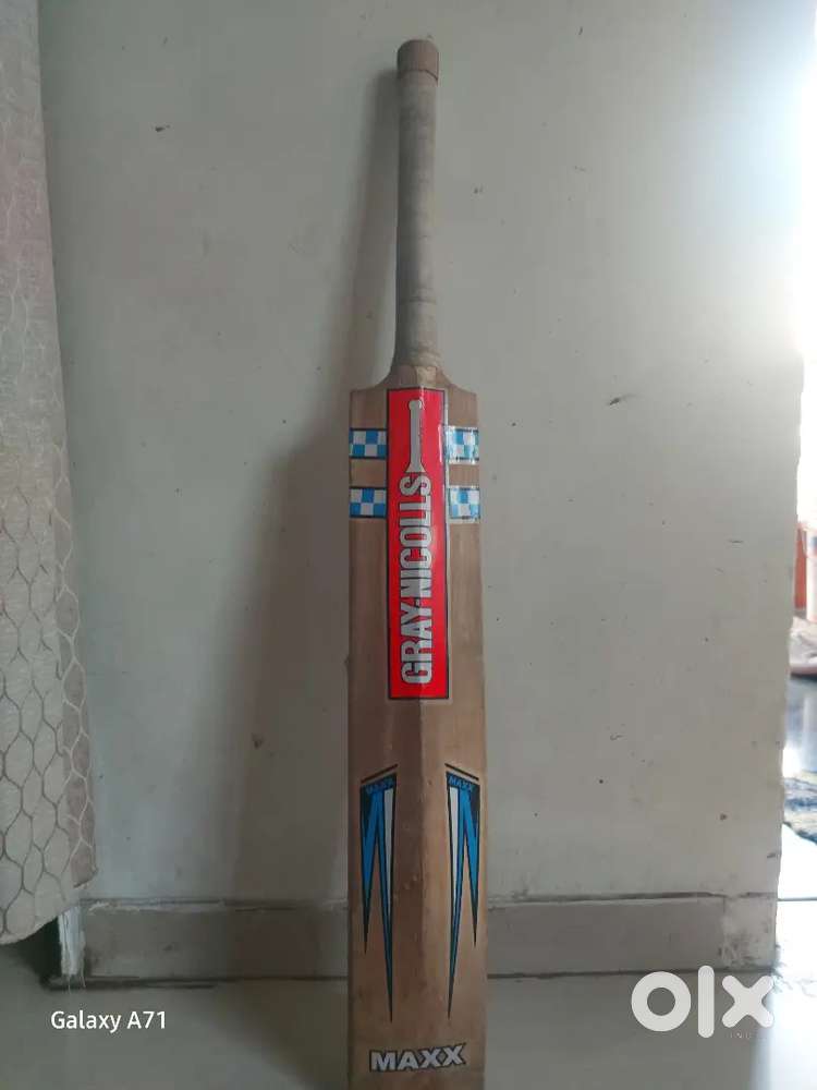 Gray nicolls Kashmir willow