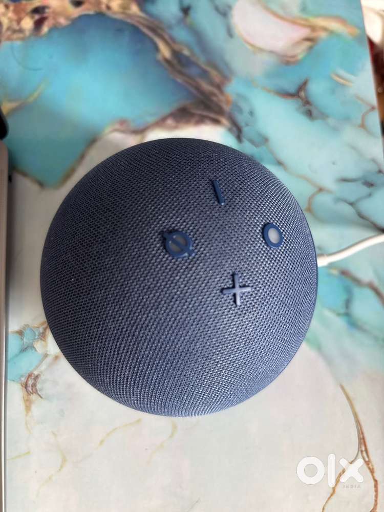Alexa 5th gen