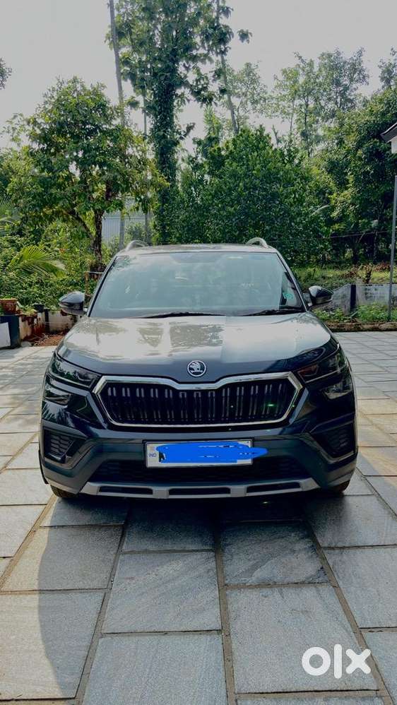 Skoda Kushaq 2023 Petrol Well Maintained