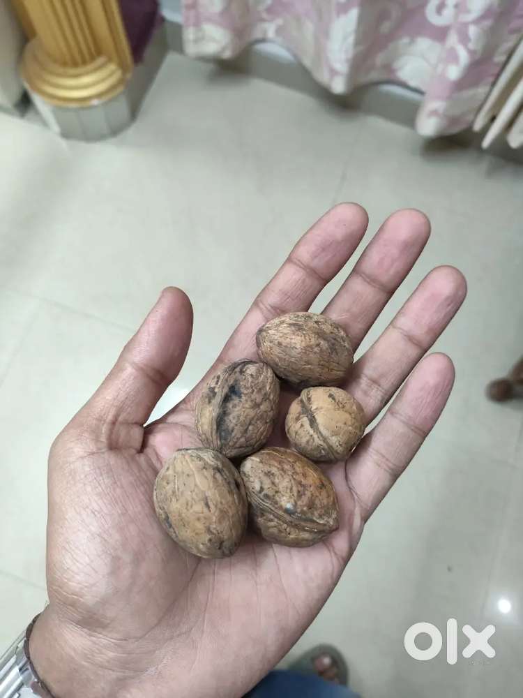 Himachali walnuts @500/kg