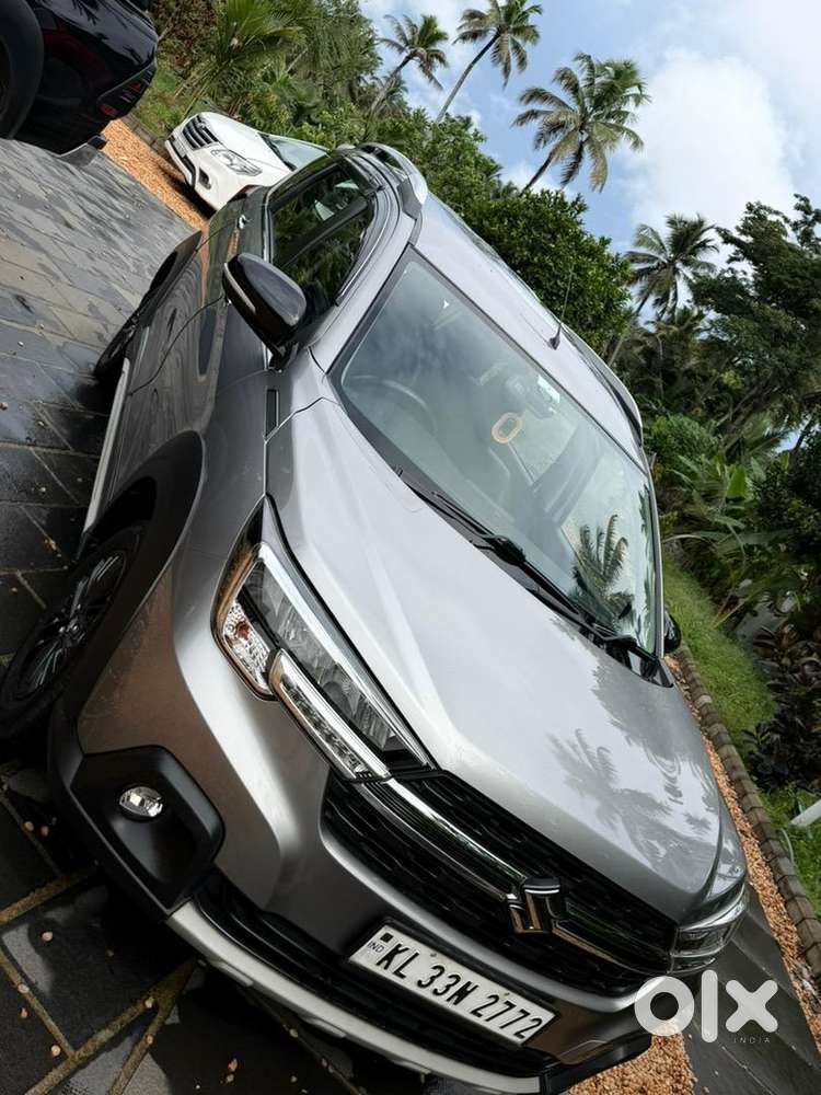Xl6 Peteol Hybrid, Lady Owner