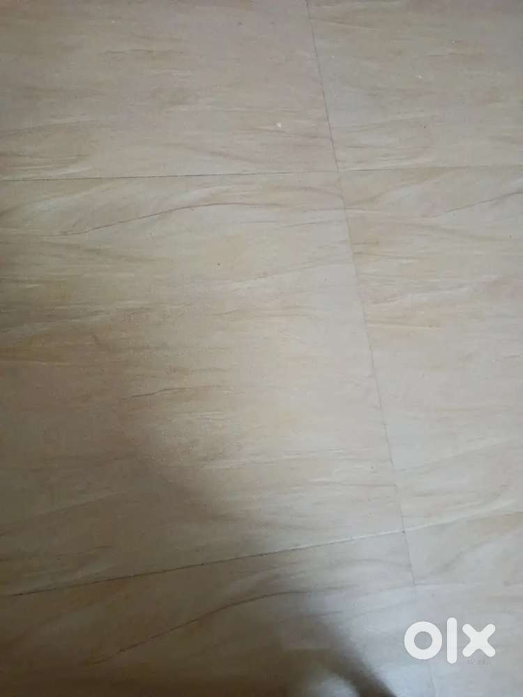 1st floor house for rent