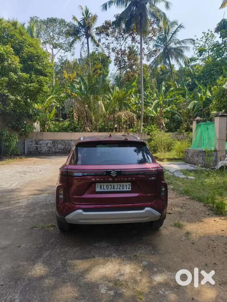 Maruti Suzuki Grand Vitara 2025 Petrol Well Maintained