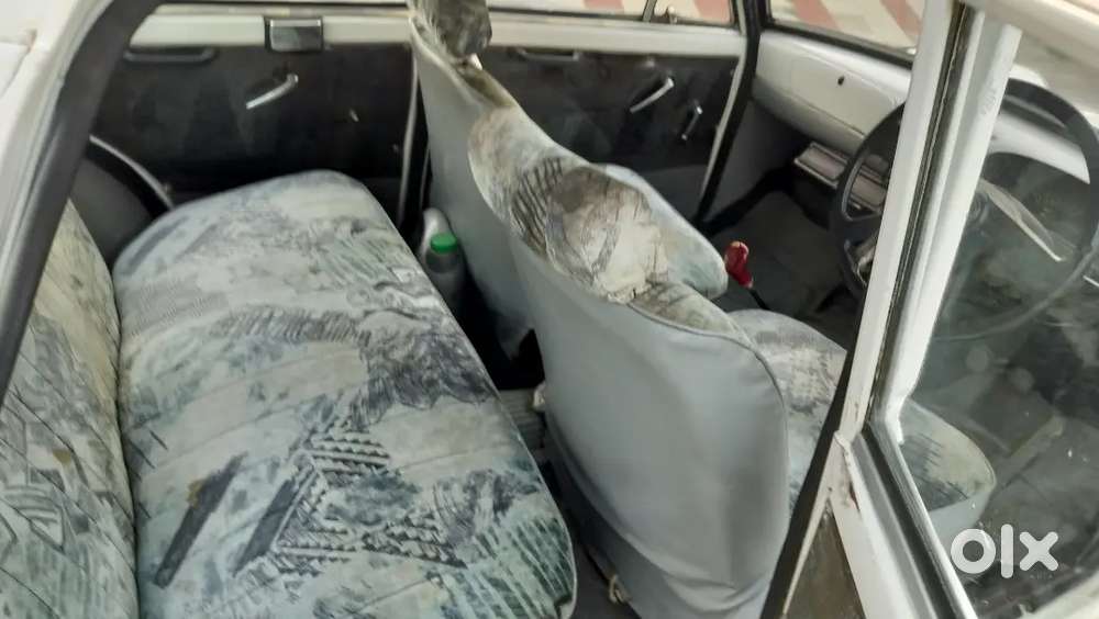 Fiet Primer Padmini White Colour (old Is Gold)