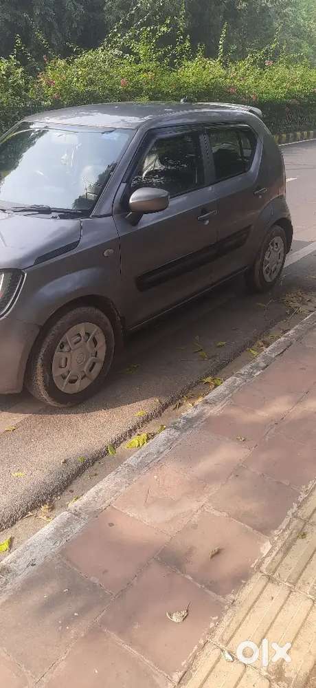 Maruti Suzuki Ignis 2018 Petrol 53800 Km Driven
