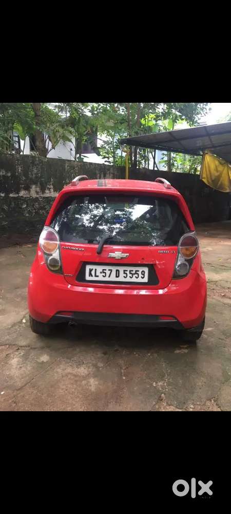 Budget Friendly