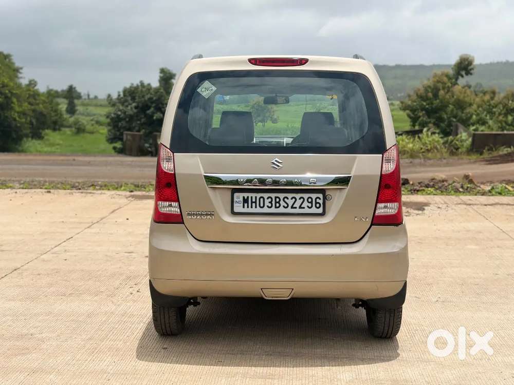 Maruti Suzuki Wagon R 2014 Lxi Cng