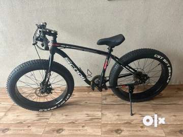 Scholl 2024 fat bike