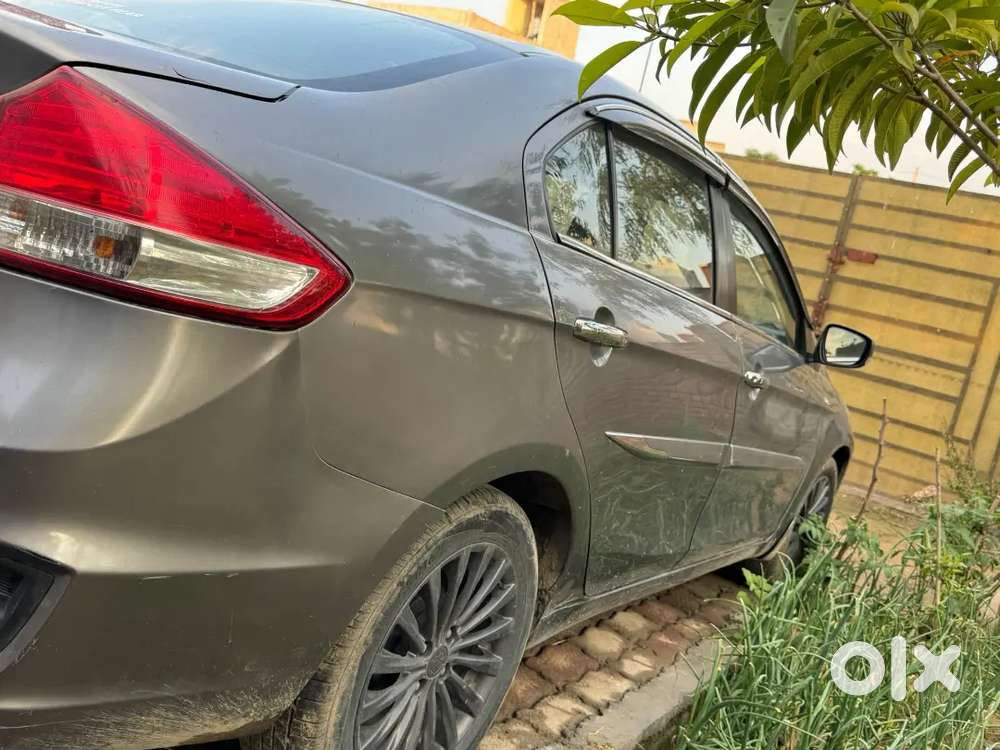 Maruti Suzuki Ciaz 2015 Diesel Well Maintained