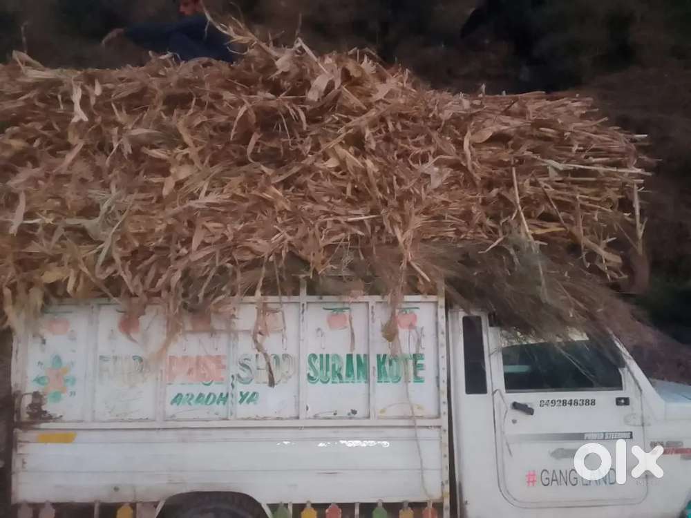 Mahindra Bolero Maxitruk 2016