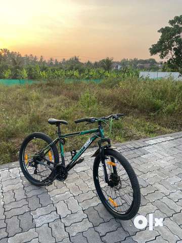 Olx mtb sale