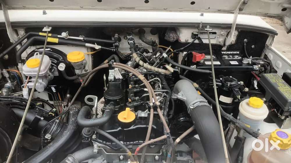 Bolero In Very Good Condition