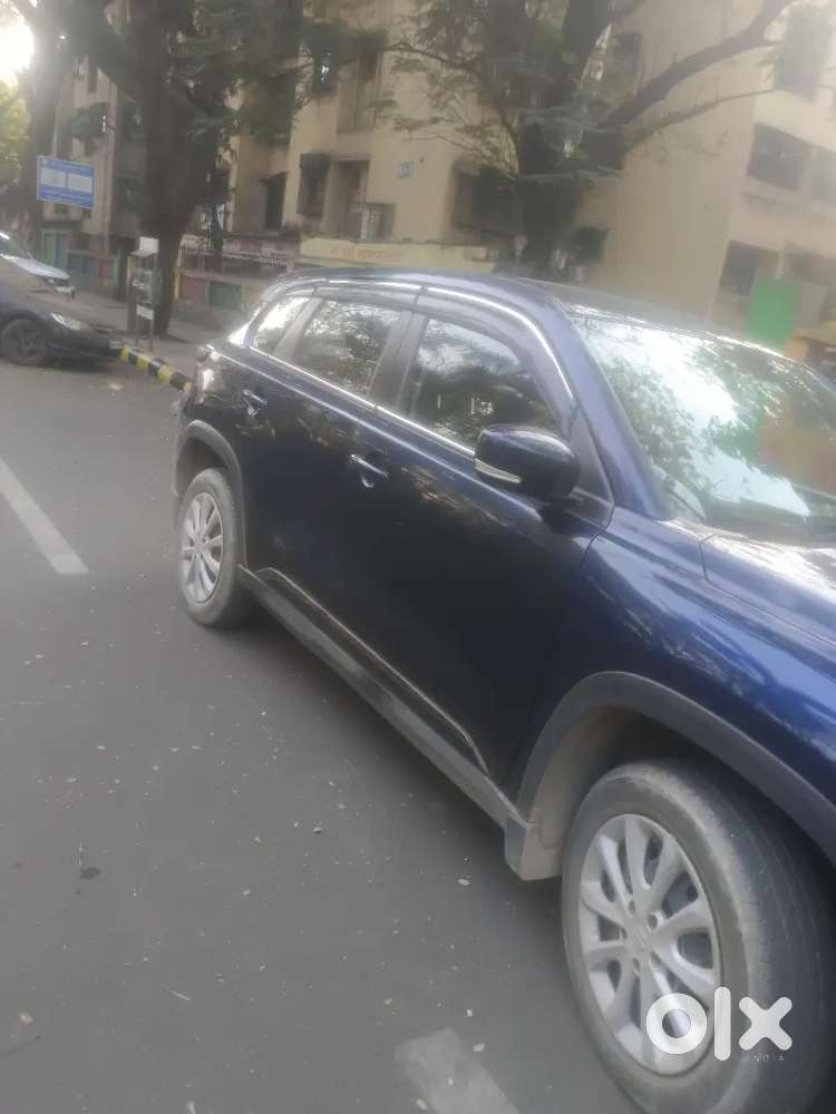 Maruti Suzuki Grand Vitara 2024 Cng & Hybrids 24000 Km Driven